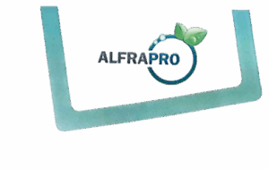 aiease_1762080602439